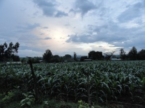 Kenyan landscape picture