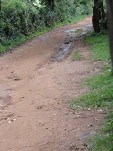 Typical Village Road Typical Village Road